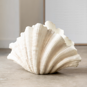 DECO VASE CALM SHELL