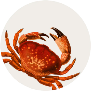 GRANCHIO VINYL PLACEMAT