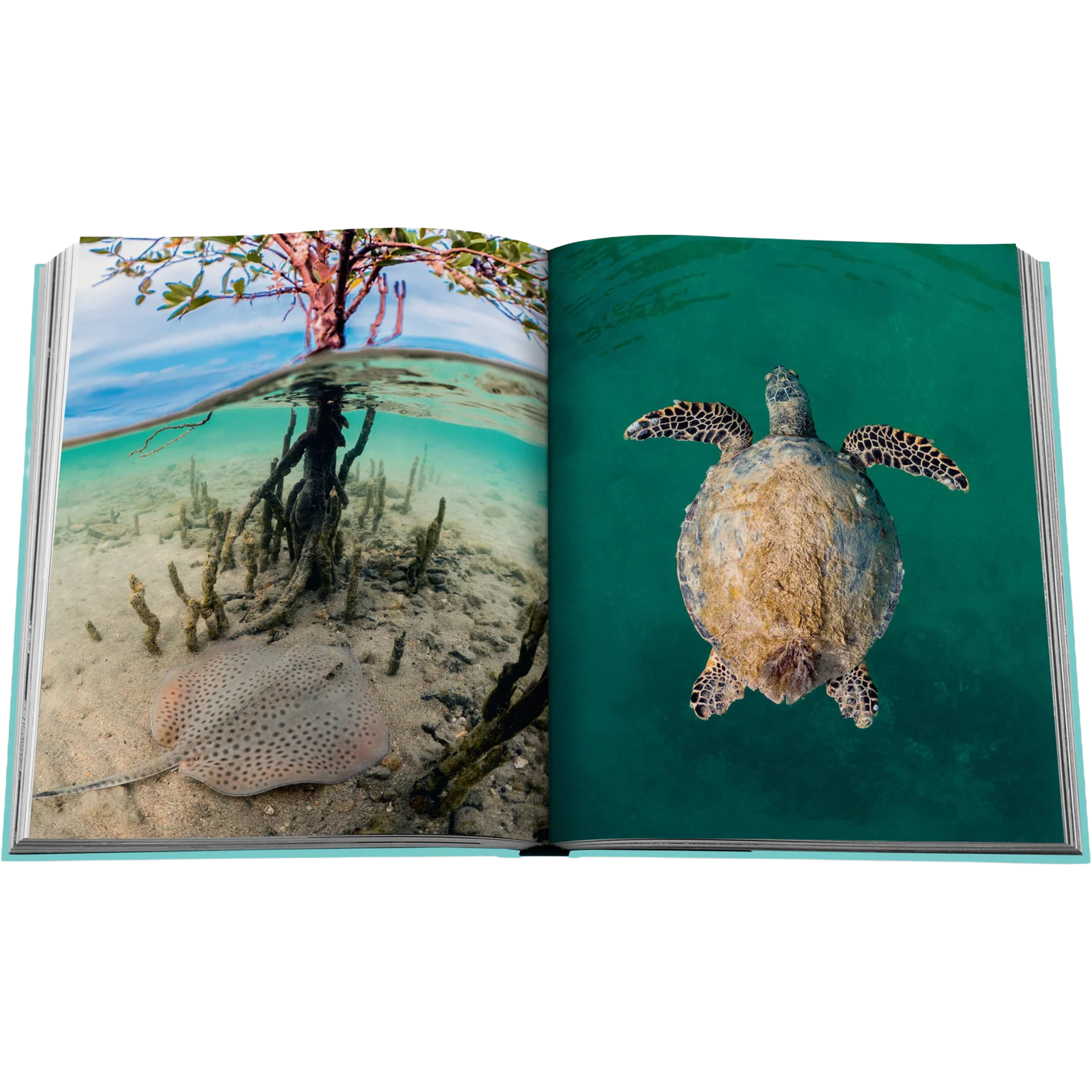 SAUDI-ARABIA-SAUDI-COAST-LUXURY-BOOK-3