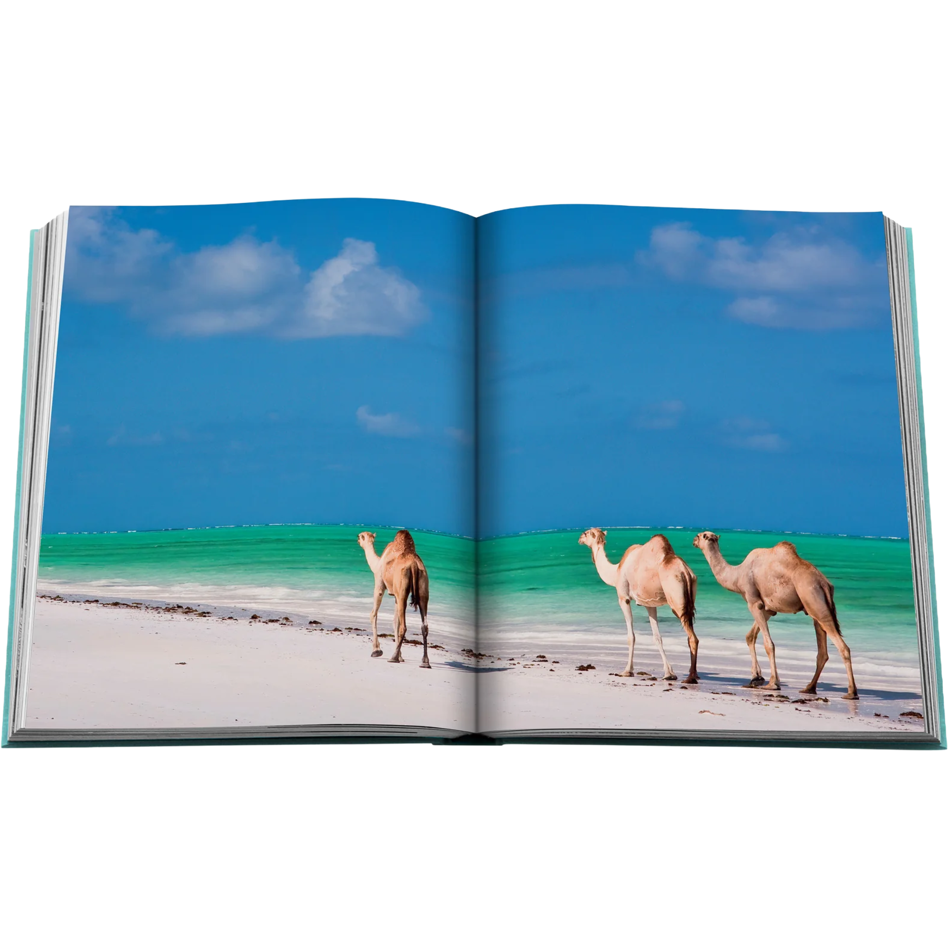 SAUDI-ARABIA-SAUDI-COAST-LUXURY-BOOK-4