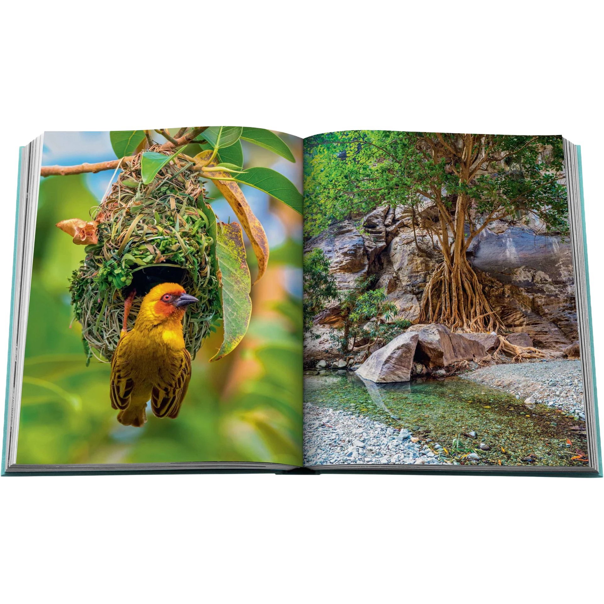 SAUDI-ARABIA-SAUDI-COAST-LUXURY-BOOK-6