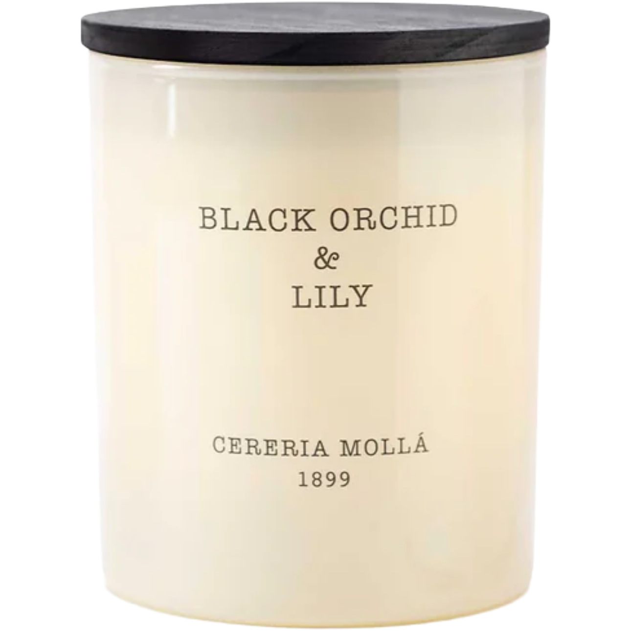 BLACK-ORCHID-AND-LILY-PREMIUM-CANDLE-230G-1