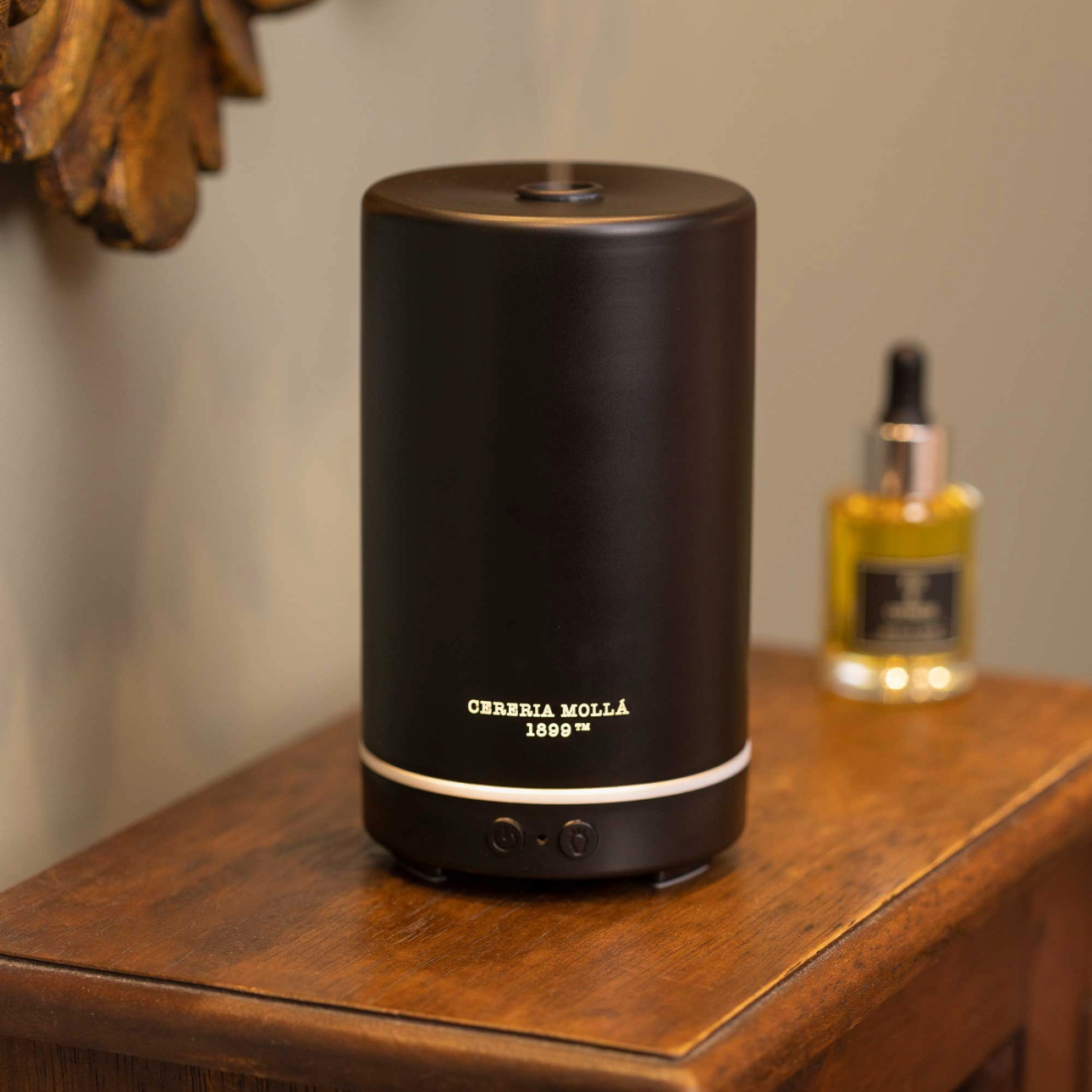 ELECTRIC-DIFFUSER-1