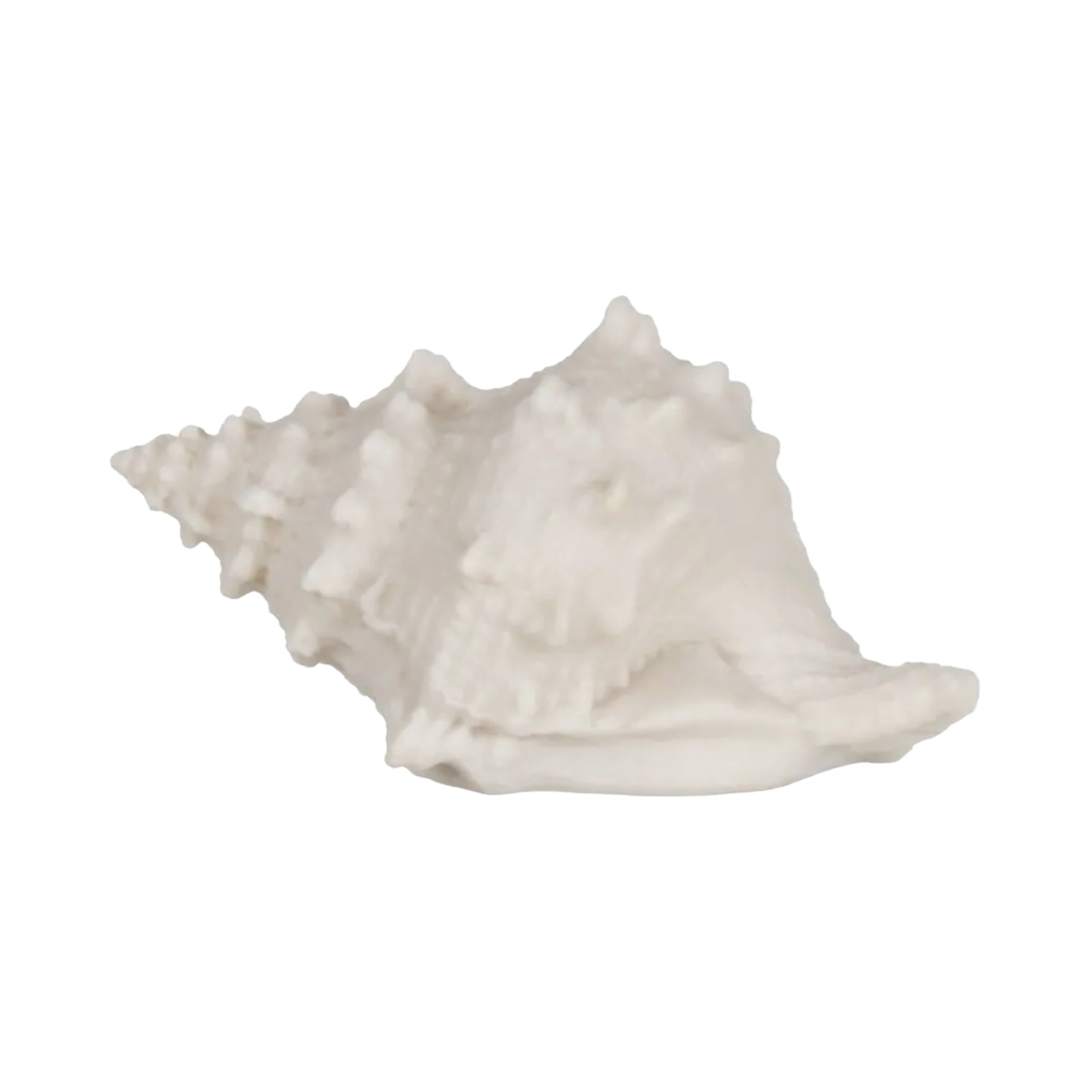 SANDSTONE-SHELL-TABLE-LAMP-1