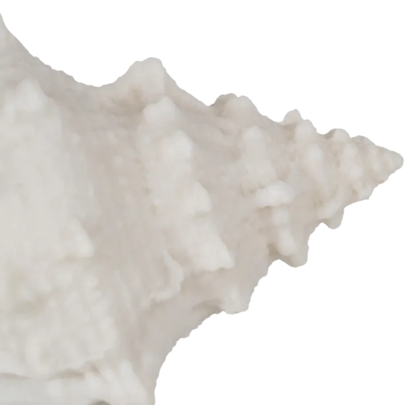 SANDSTONE-SHELL-TABLE-LAMP-3
