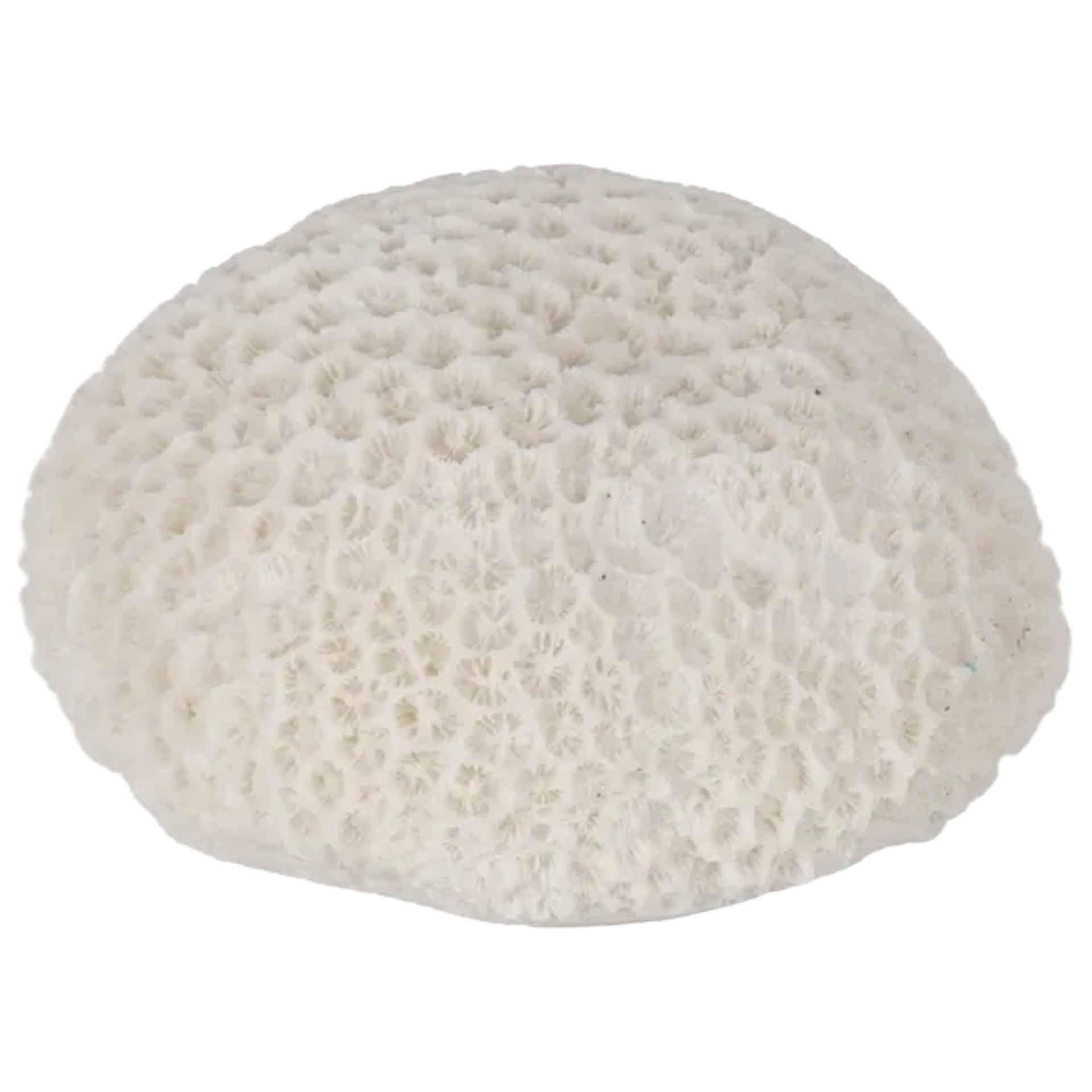 SANDSTONE-SPONGE-TABLE-LAMP-1