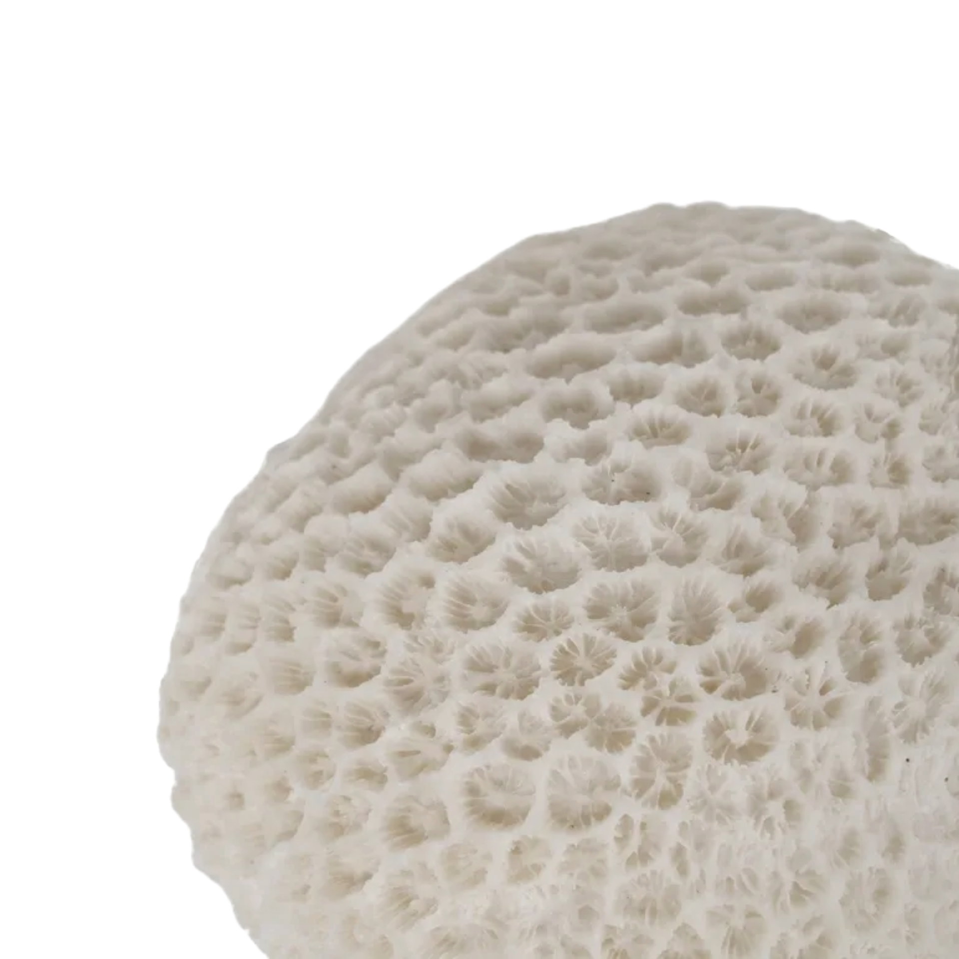 SANDSTONE-SPONGE-TABLE-LAMP-2