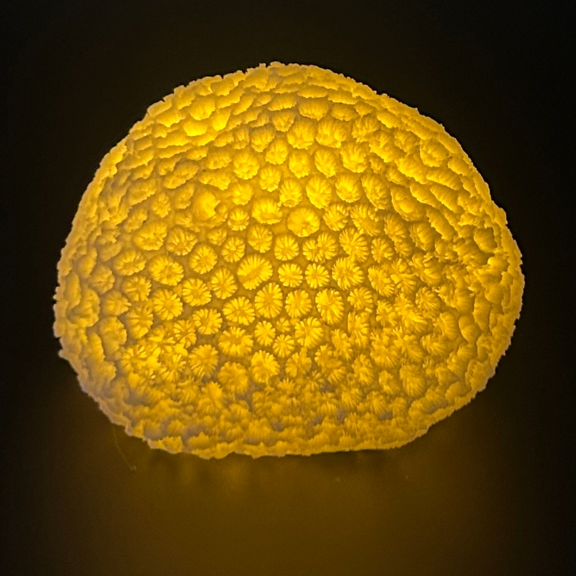 SANDSTONE-SPONGE-TABLE-LAMP-3