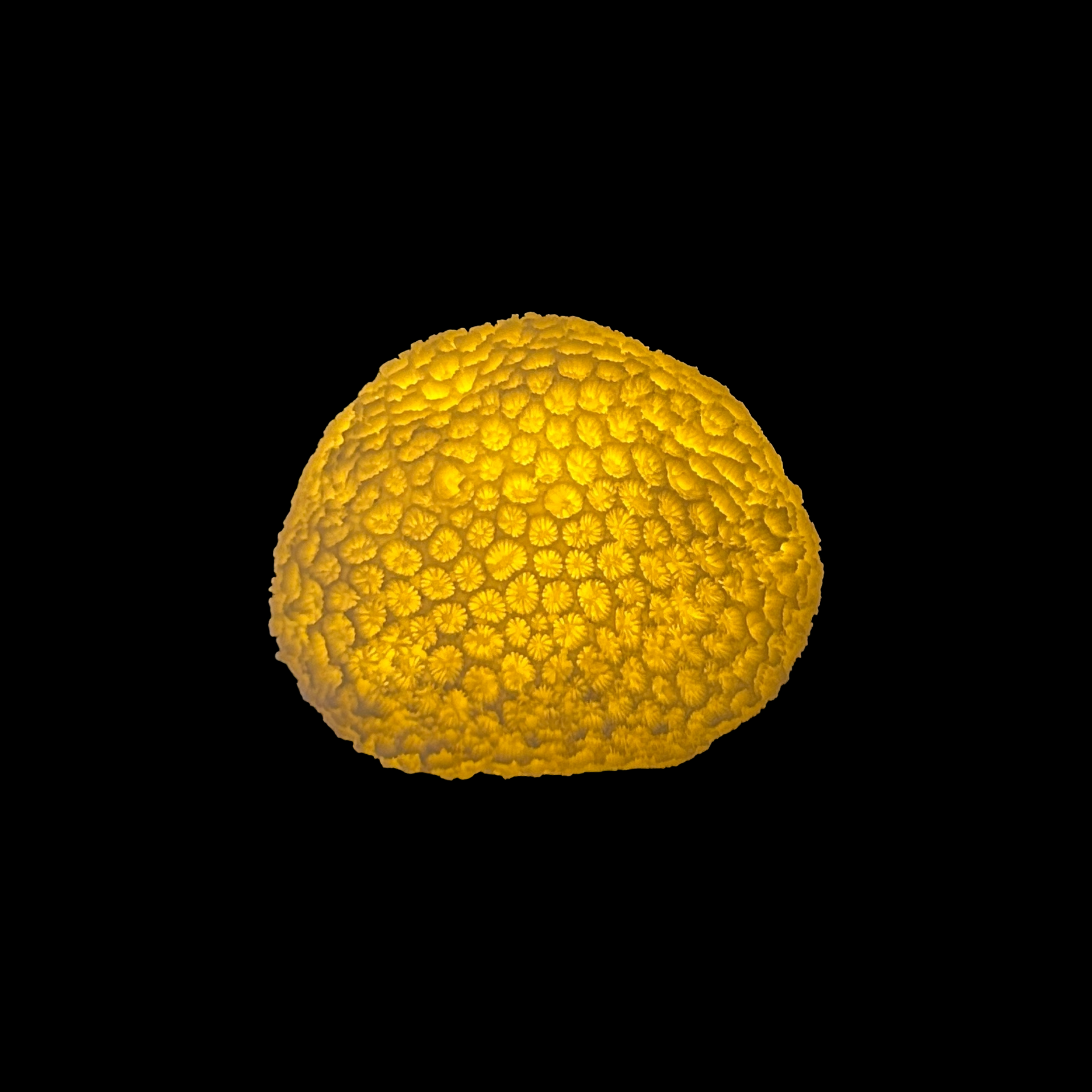 SANDSTONE-SPONGE-TABLE-LAMP-4