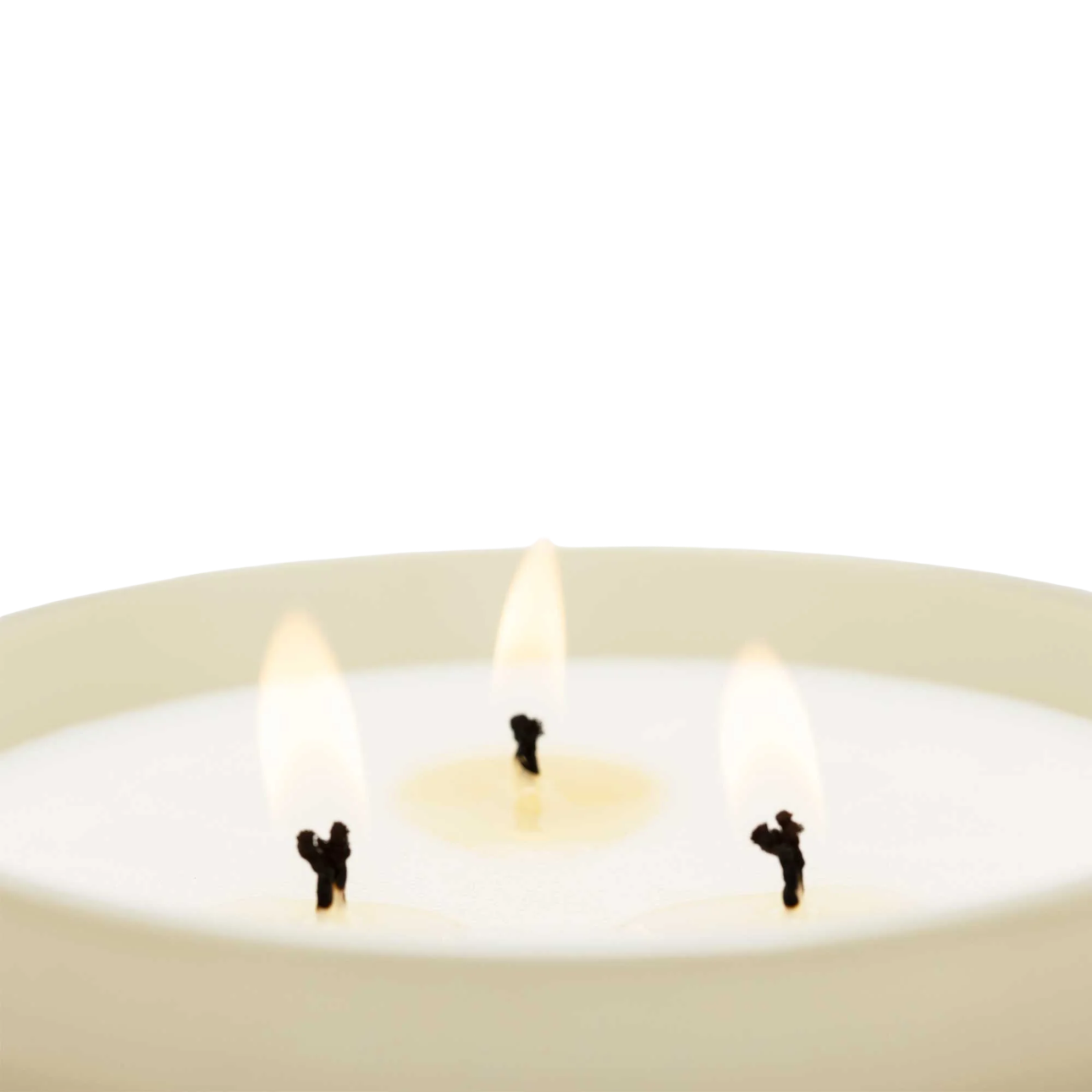 XL-VELVET-WOOD-CANDLE-600G-3